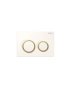 Inspire Kappa Dual Flush Button Rn WG