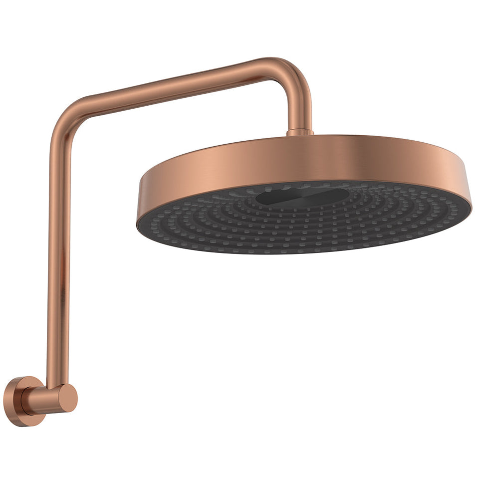 Fienza Kuro Gooseneck Shower Arm Set Round Head
