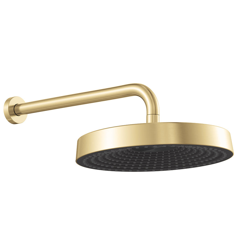 Fienza Kuro Shower Arm Set Round Head Urban Brass
