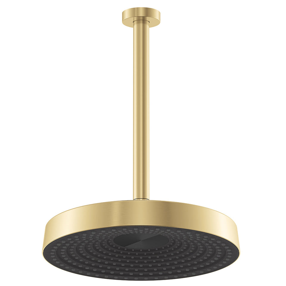 Fienza Kuro Shower Dropper Set Round Head Urban Brass