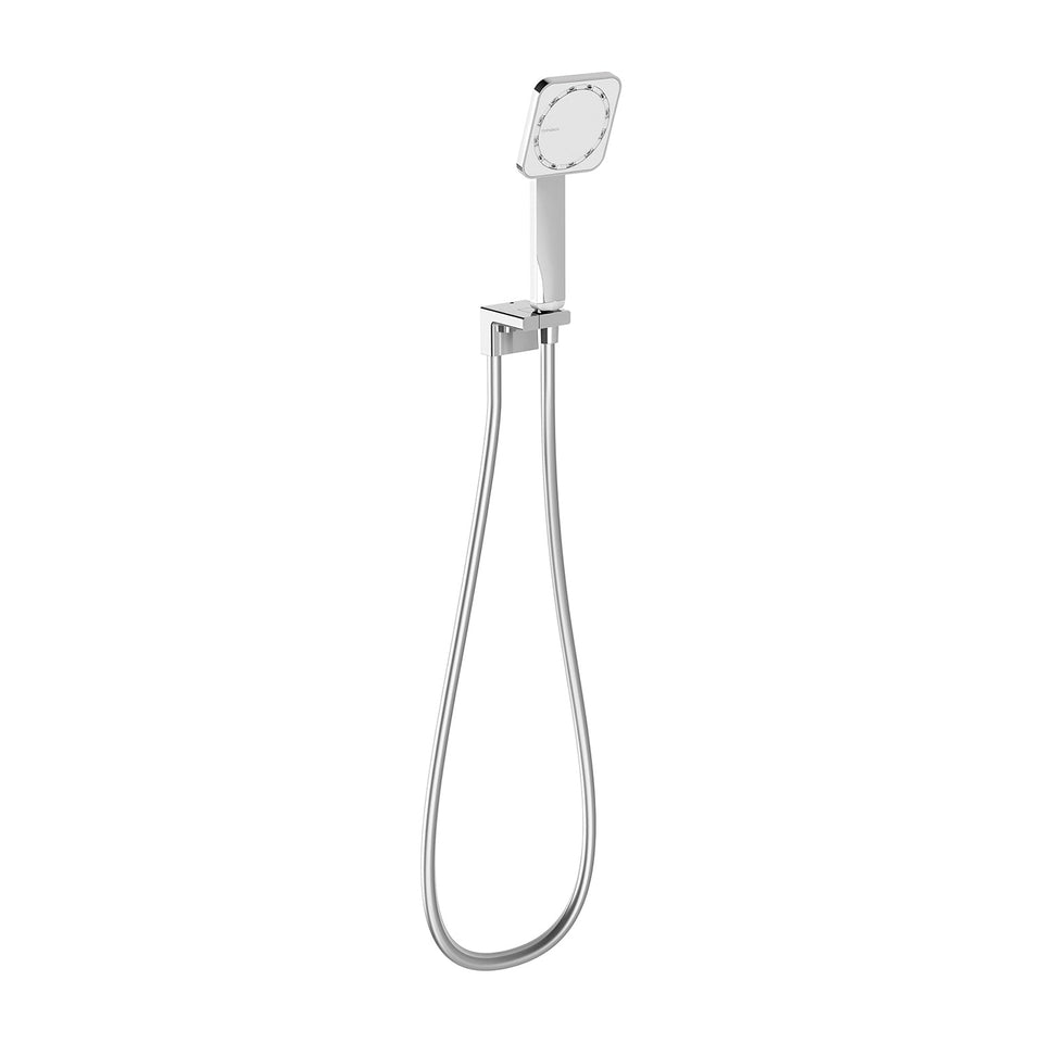Phoenix NX ORLI with HydroSense Hand Shower