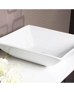 ADP Panchi AboveCounter Basin