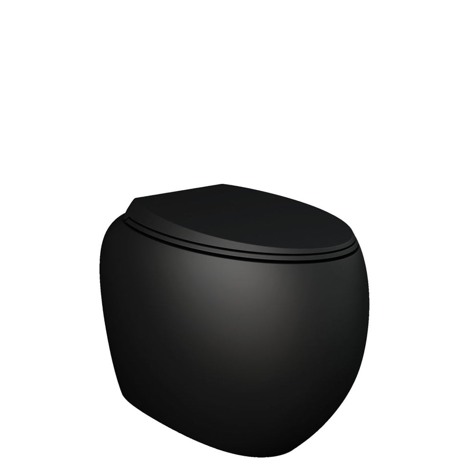 Fienza Rak Cloud Wall Faced Toilet Suite Matte Black Pan Only