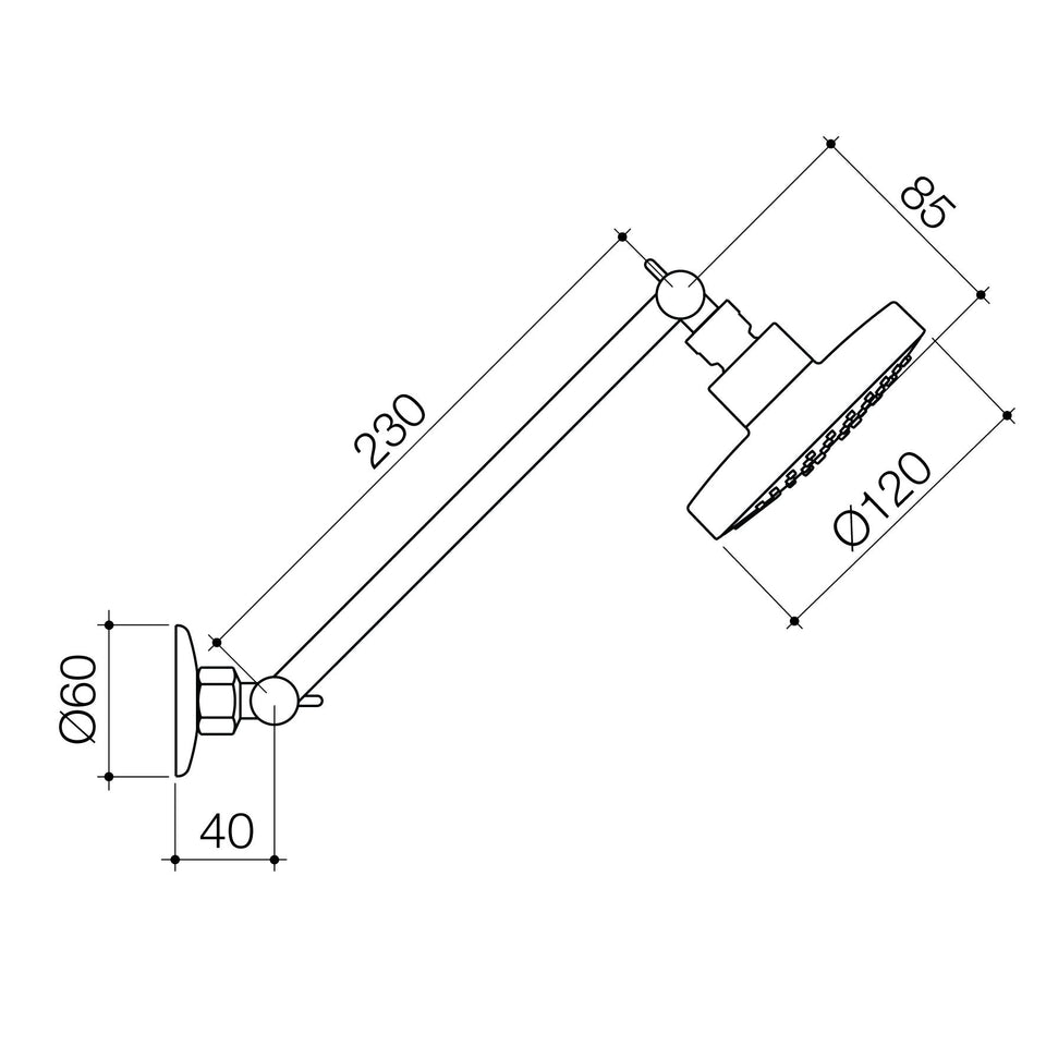 Caroma Luna Adjustable Shower And Arm