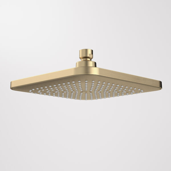 Caroma Luna® Overhead Shower Head Only - Brushed Brass (90386BB4E)