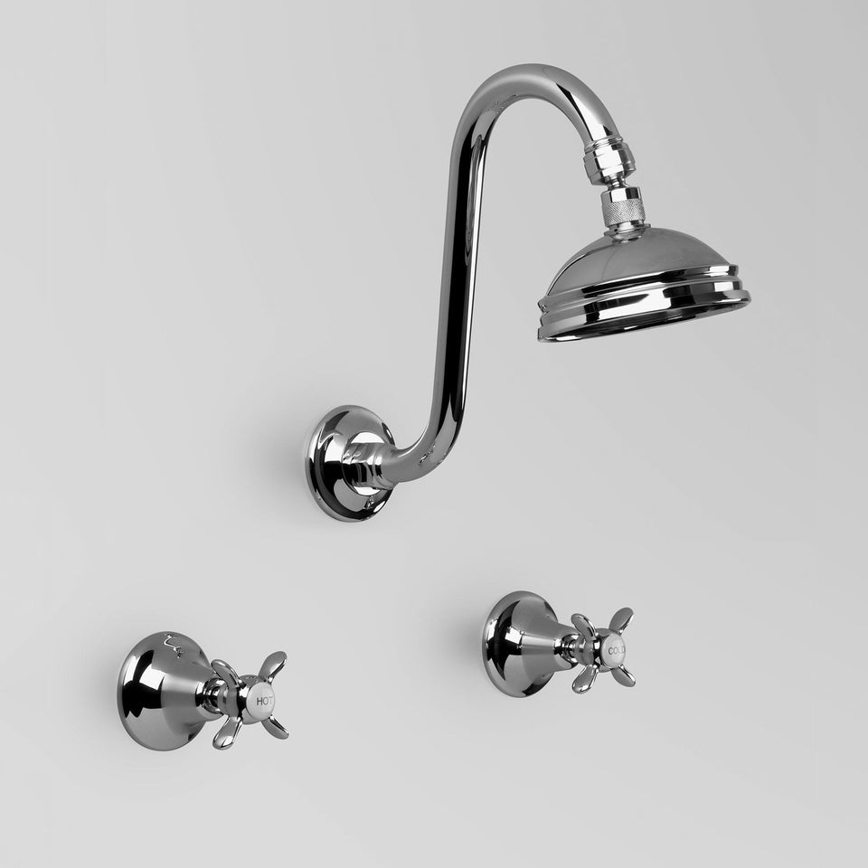 Astra Walker A51.10 Shower Set with 100mm Rose
