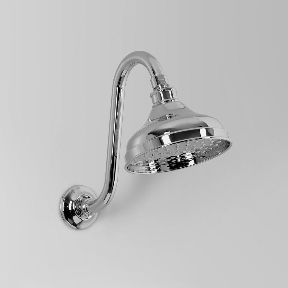 Astra Walker A51.10.11.A Gooseneck Shower Arm & 150mm Rose Only