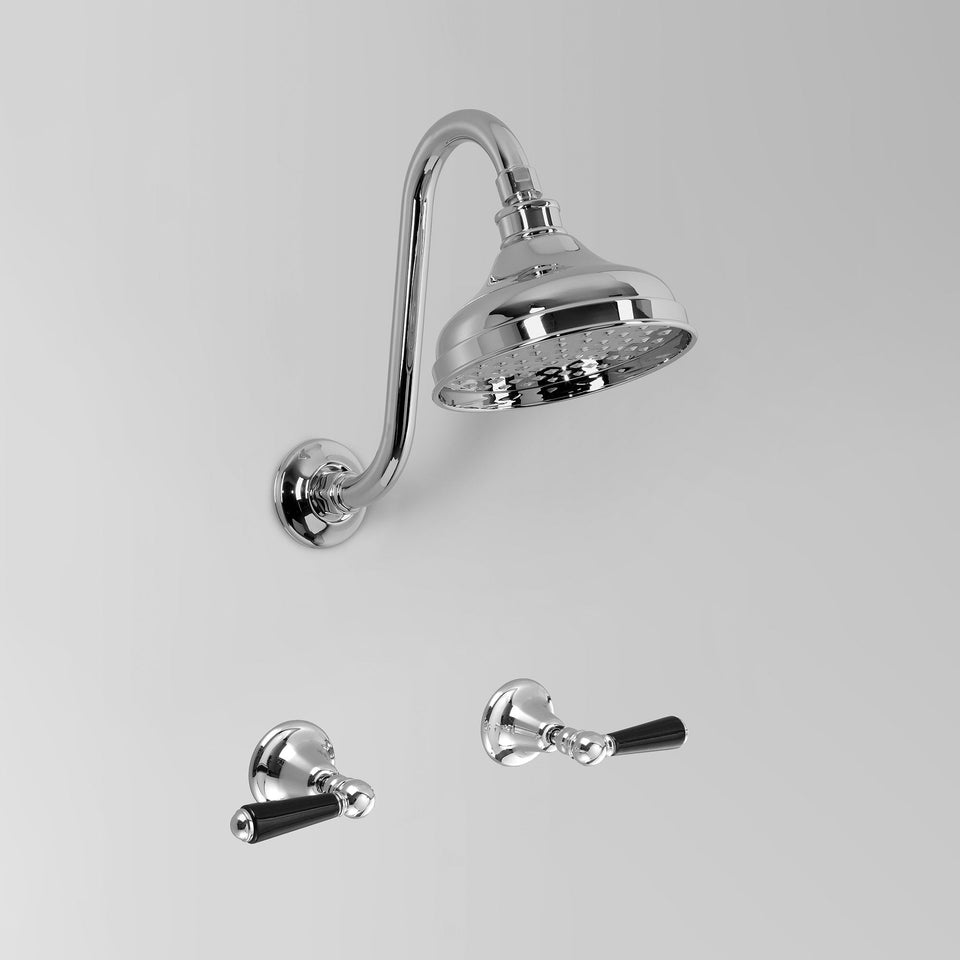 Astra Walker A51.10.11 Shower Set with 150mm Rose
