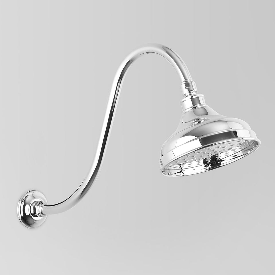 Astra Walker A51.10.11.V3.A Gooseneck Shower Arm & 150mm Rose Only