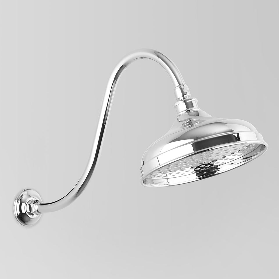 Astra Walker A51.10.11.V4.A Gooseneck Shower Arm & 200mm Rose Only