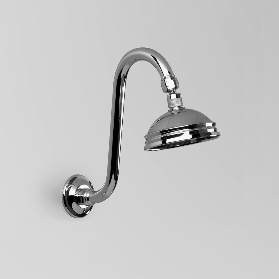 Astra Walker A51.10.A Gooseneck Shower Arm & 100mm Rose Only