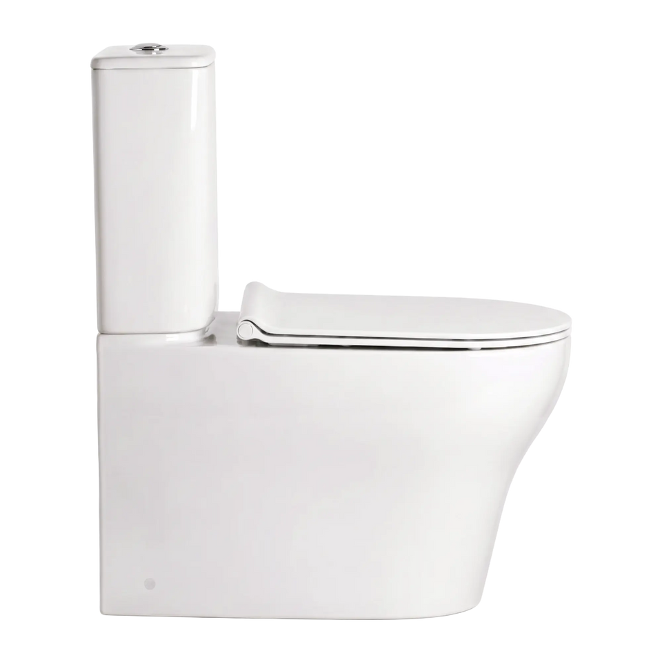 American Standard Cygnet Hygiene Rim Square CCBTW - Back Inlet