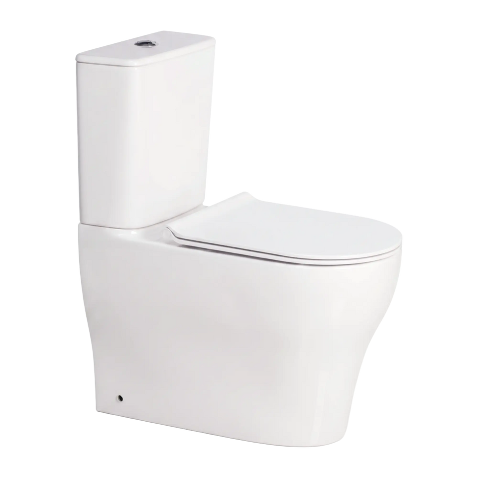 American Standard Cygnet Hygiene Rim OH Square CCBTW - Back Inlet