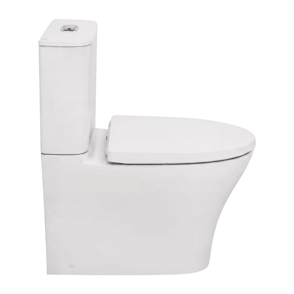 American Standard Signature Hygiene Rim CCBTW - Back Inlet with Std Seat