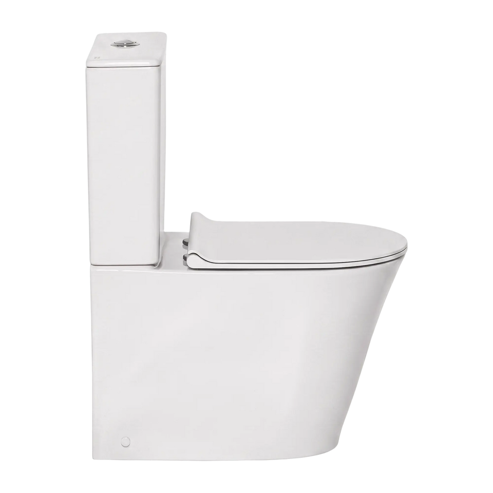 American Standard Heron Hygiene Rim CCBTW - Bottom Inlet
