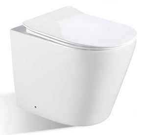 BNK Rimless Gloss White Wall Faced Toilet Pan