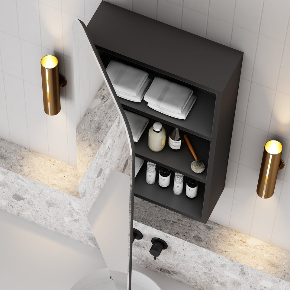 Rec 450mm Shaving Cabinet Matte Black (2)