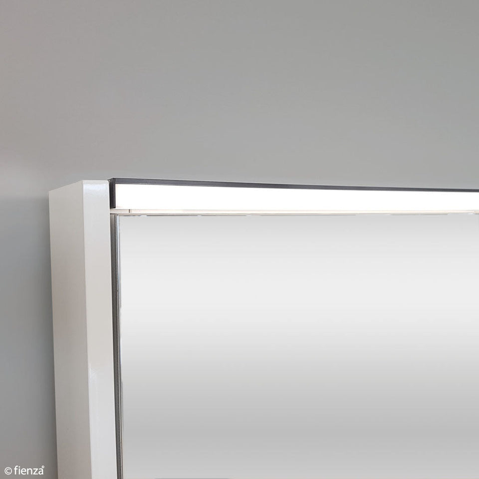 Fienza LED Mirror Cabinet with Display Shelf, Industrial