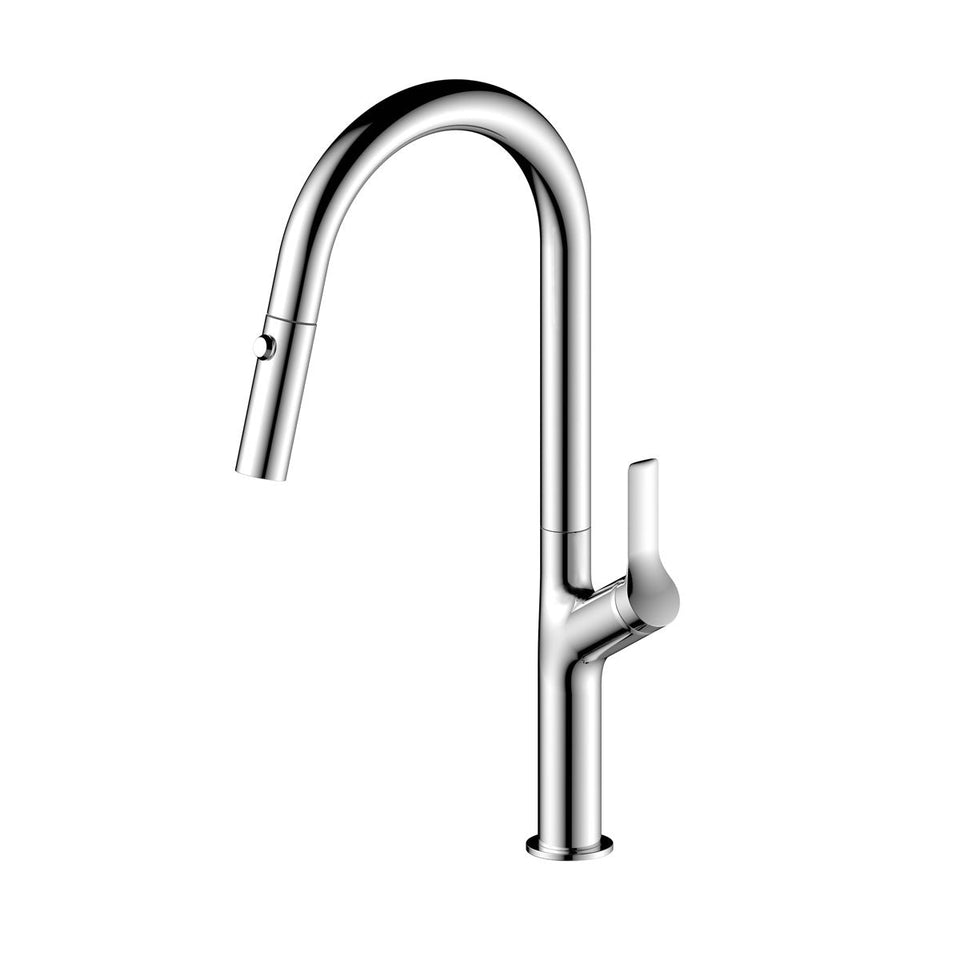 Linsol Tish Pull Out Sink Mixer