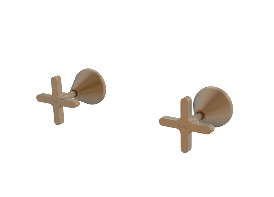 PAR Taps Forme Top Assemblies Wall Pair - Burnished (B27.082.1.52)
