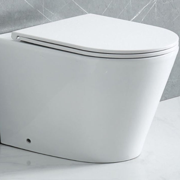 Todi Elegant Rimless Wall Faced Toilet Pan, Seat, Connector
