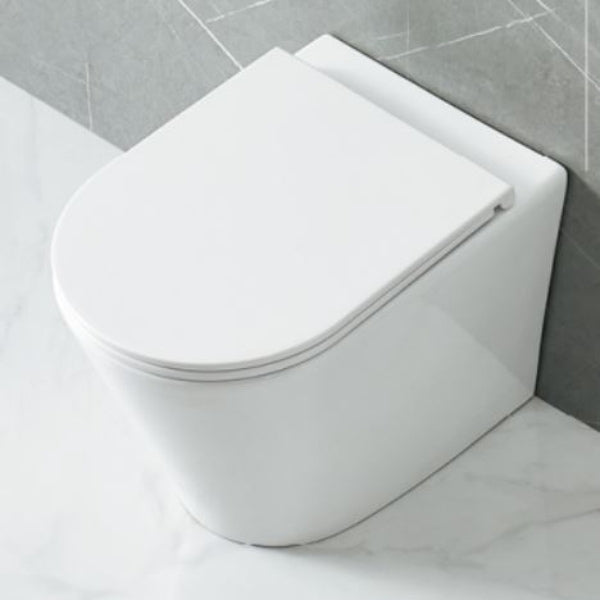 Todi Elegant Rimless Wall Faced Toilet Pan, Seat, Connector