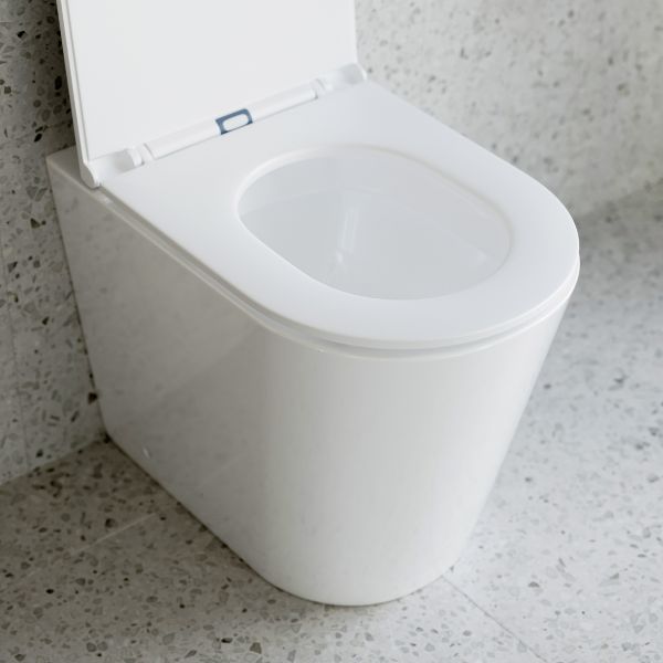 Build Your In-Wall Toilet: Bao Elegant Wall Faced Toilet Pan Gloss White with Cistern Options