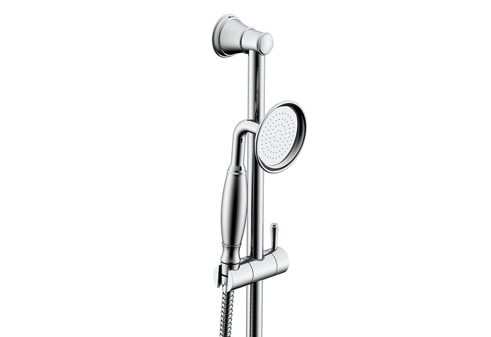 ADP Eternal Handshower on Rail