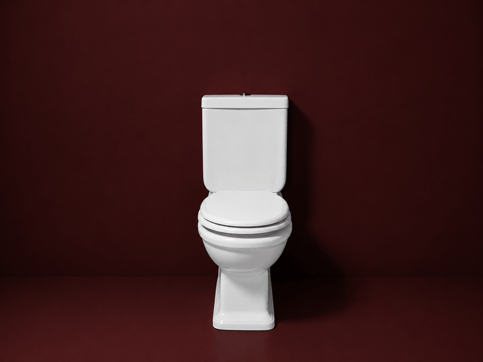 Turner Hastings Stafford Close Coupled Back to Wall Toilet Suite - Gloss White with Chrome Hinges