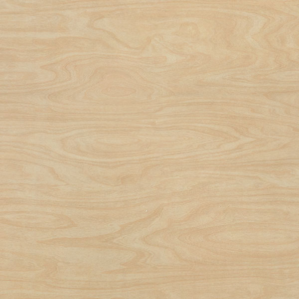Raw Birchply Natural Sample