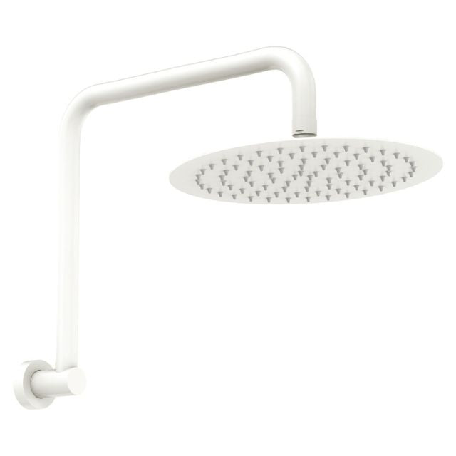 Fienza Kaya Gooseneck Shower Arm Set