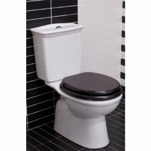 dark_wooden_toilet_seat_traditional_110104W