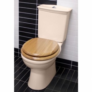ivory_toilet_wooden_seat_110102I