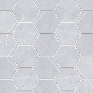 mosaic_bracca-bianco-hexagon